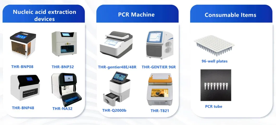 Mini Portable PCR Fluorescence Real-Time PCR System PCR Test Machine (THR-GE16)